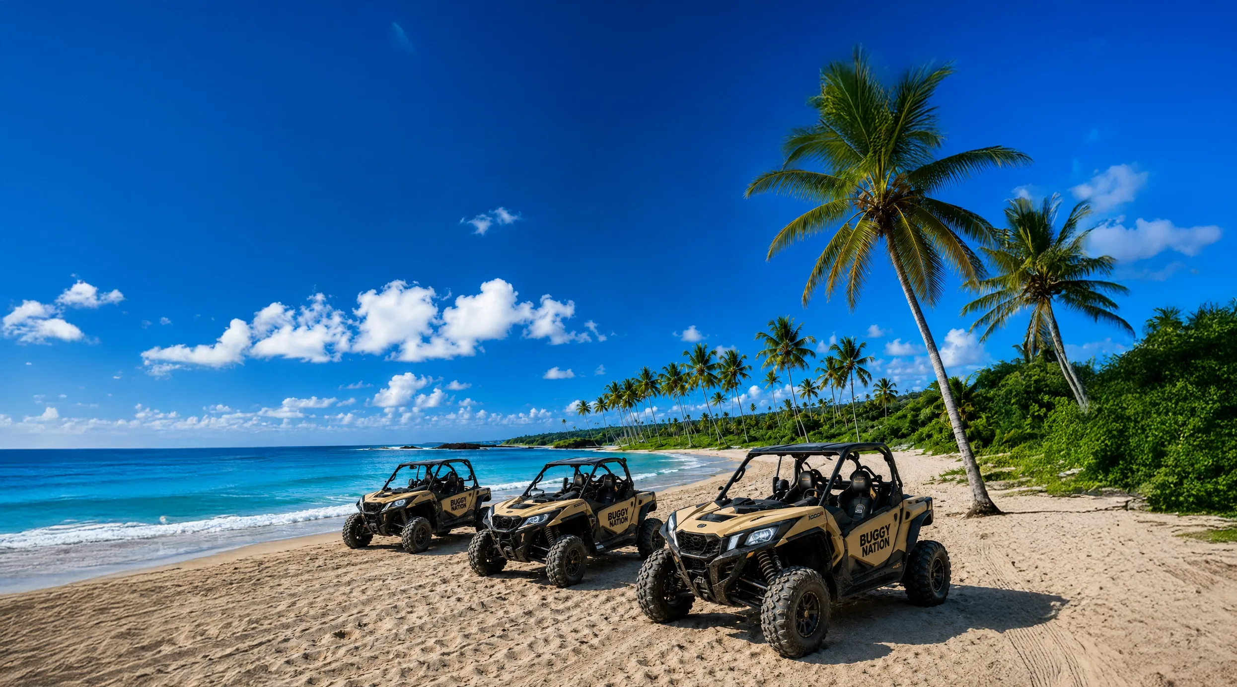 Buggy Nation vehicles parked on the shoreline under tall palm trees.